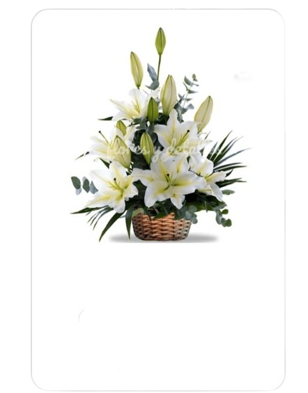Diseño de Condolencias