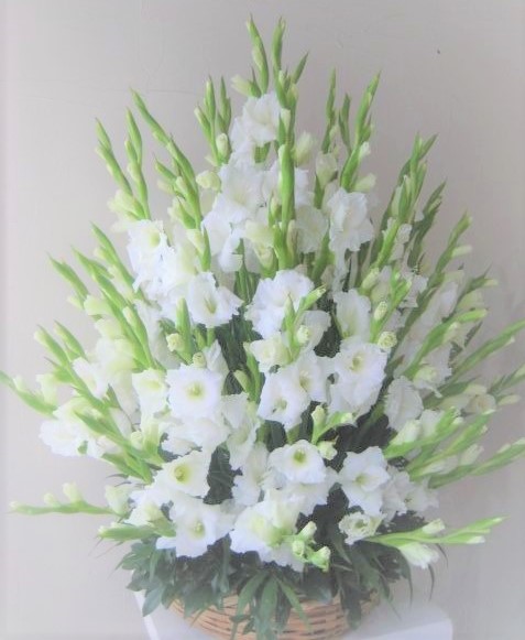 Canasta de Gladiolos - Floristeriaadomicilio.cl