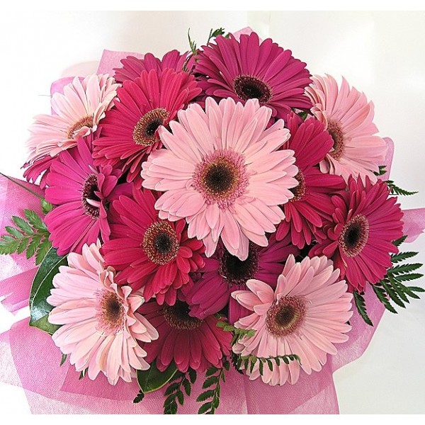 Ramo de 20 Gerberas