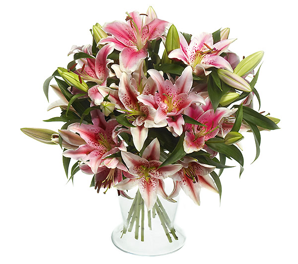 Florero de Lilium