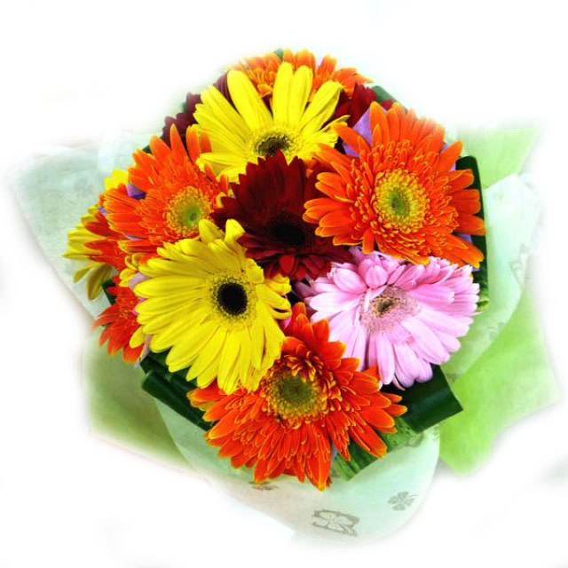 Ramo en 10 Gerberas Primaveral