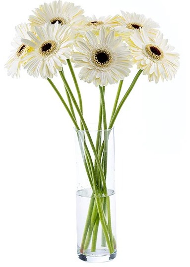 Florero de 10 Gerberas