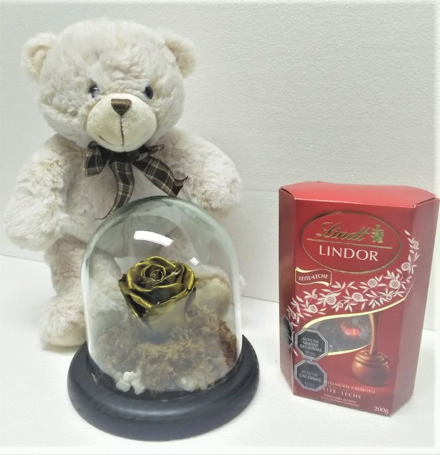 Rosa Preservada en Cpula, Bombones Lindor 200 grs Oso Peluche 30 cm