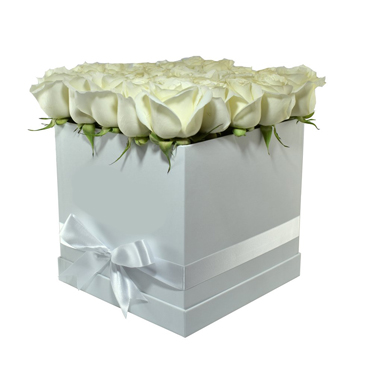 Caja Rectangular con 16 Rosas