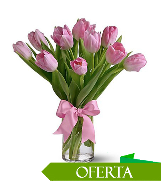 Florero de 10 Tulipanes - Floristeriaadomicilio.cl