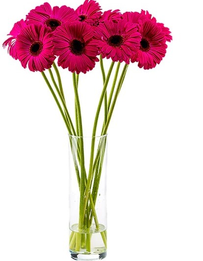 Florero de 10 Gerberas