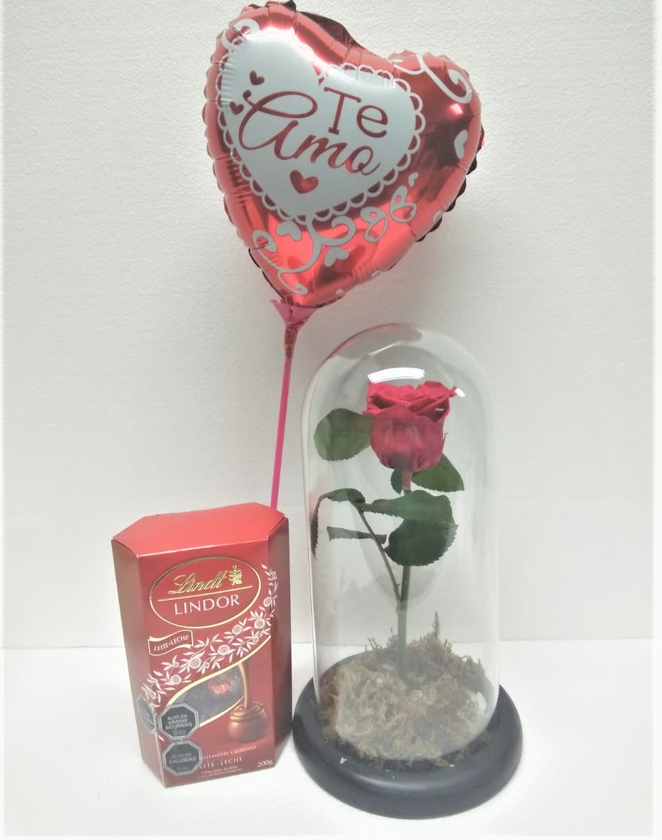 Rosa Preservada con tallo en Cpula, Bombones Lindor 200 grs y Globito