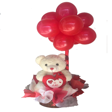 Peluche y 12 Globos de Latex